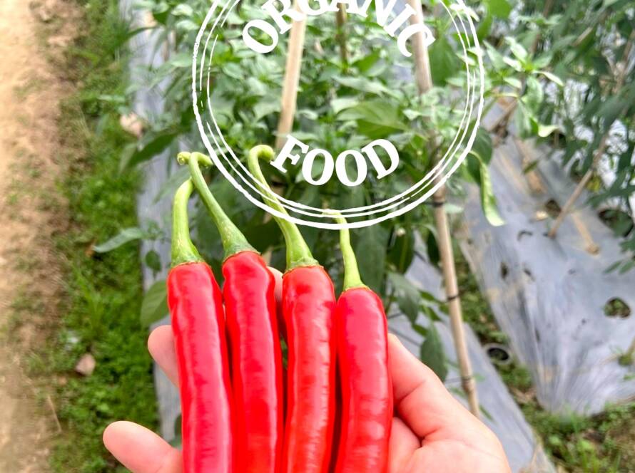 thực phẩm hữu cơ